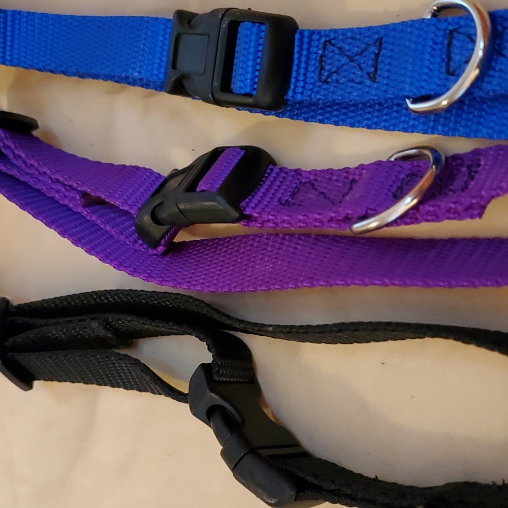 Dog collars set of 3 adjustable 10 to 16 inches in black, purple and blue